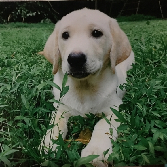 Thanks for visiting my closet! - Picture 2 of 11